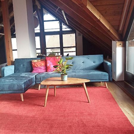 Ferienwohnung Zur Kirschblute Purbach am Neusiedlersee Dış mekan fotoğraf