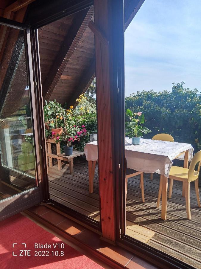 Ferienwohnung Zur Kirschblute Purbach am Neusiedlersee Dış mekan fotoğraf
