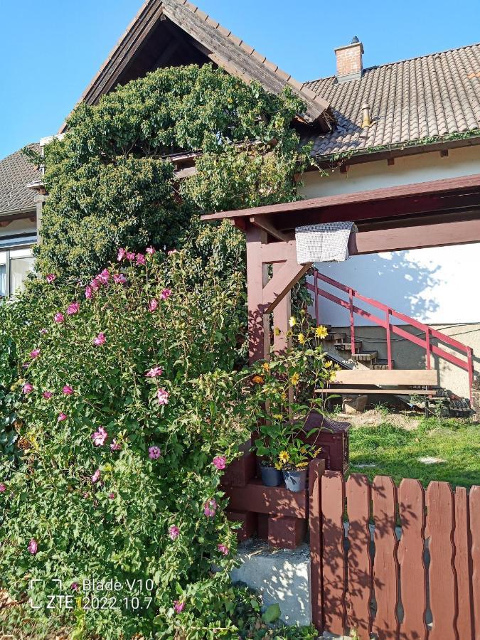 Ferienwohnung Zur Kirschblute Purbach am Neusiedlersee Dış mekan fotoğraf