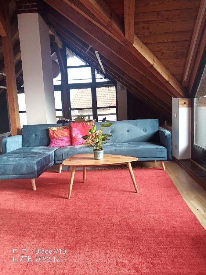 Ferienwohnung Zur Kirschblute Purbach am Neusiedlersee Dış mekan fotoğraf