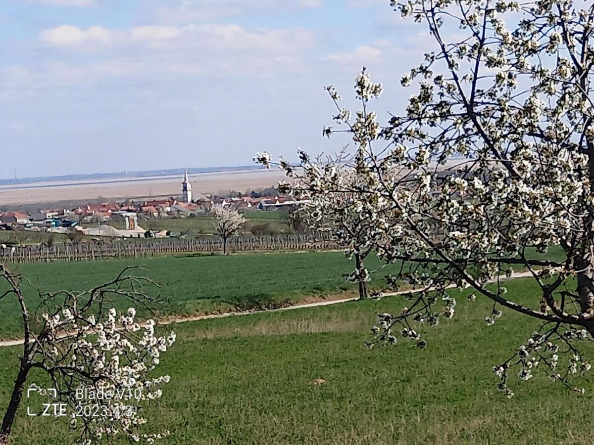 Ferienwohnung Zur Kirschblute Purbach am Neusiedlersee Dış mekan fotoğraf